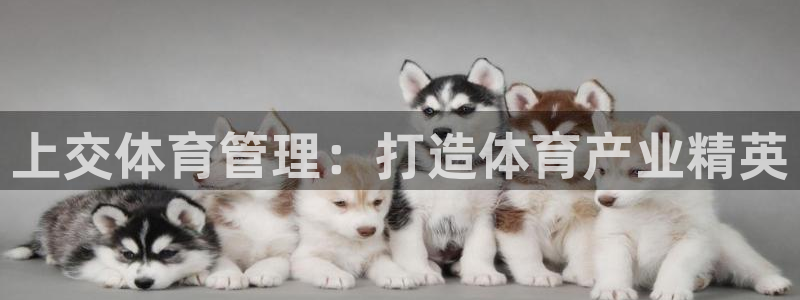 必一体育app官方下载