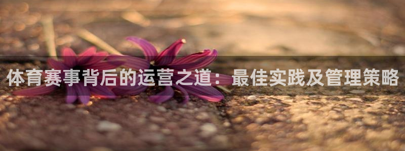 必一体育旧版：体育赛
