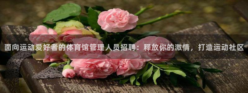 必一体育登入：面向运