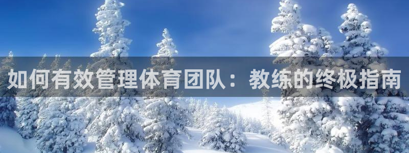 必一体育最新官网入口首页