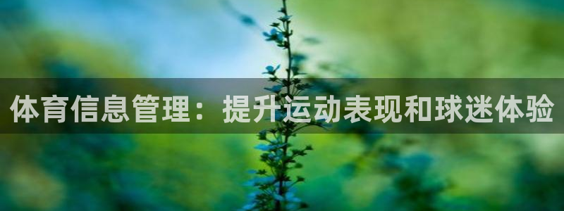 必一体育APP