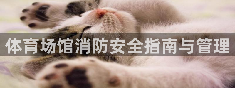 必一运动bsport