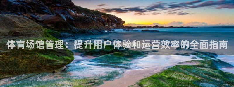 必一体育sport官
