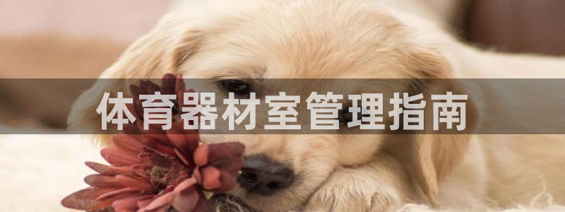 必一体育旧版