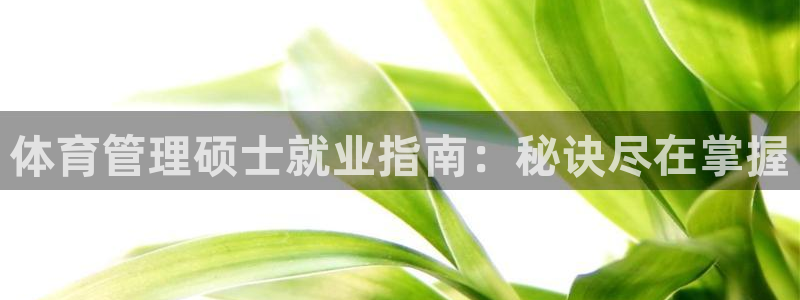 必一体育网址