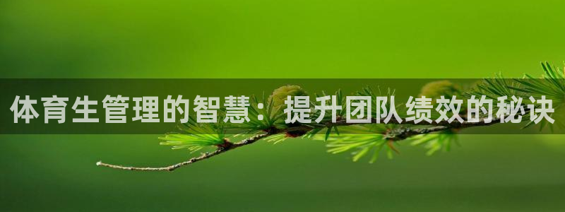 必一体育下载秀给网：