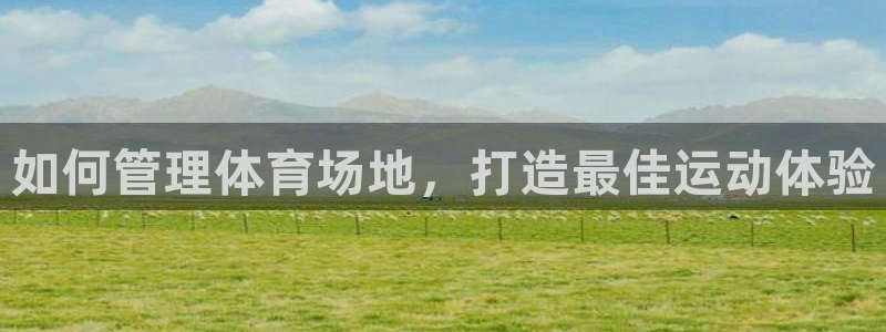 必一体育网页登录版官