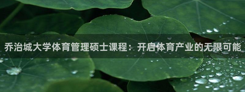 必一体育运动app：