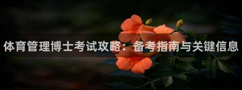 必一运动bsport体育app下载