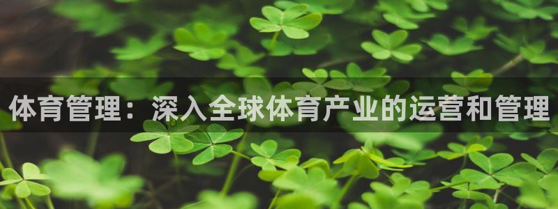 必一运动sport网页版