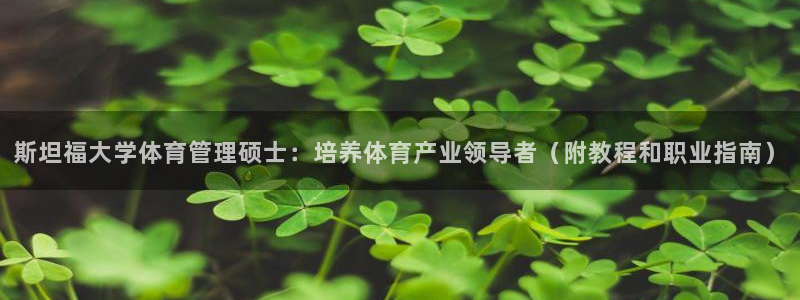 必一体育合法吗：斯坦