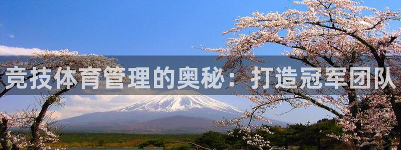 必一体育在线官网