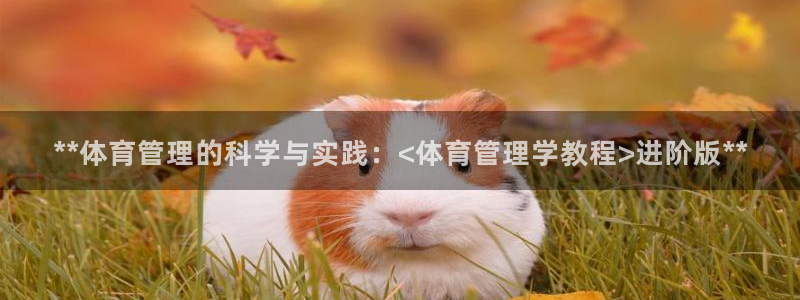 必一体育下载入口：*