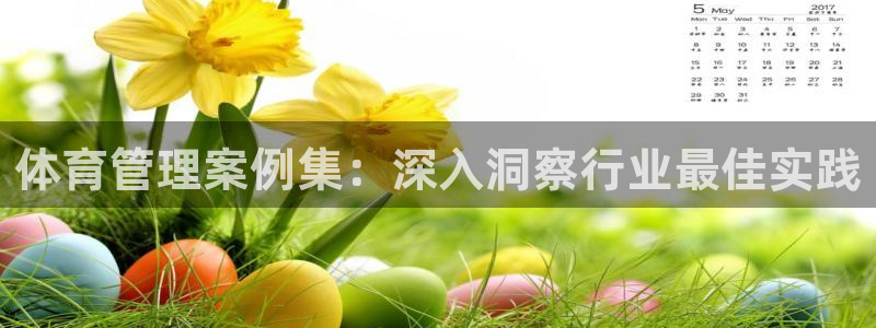 必一体育官网入口
