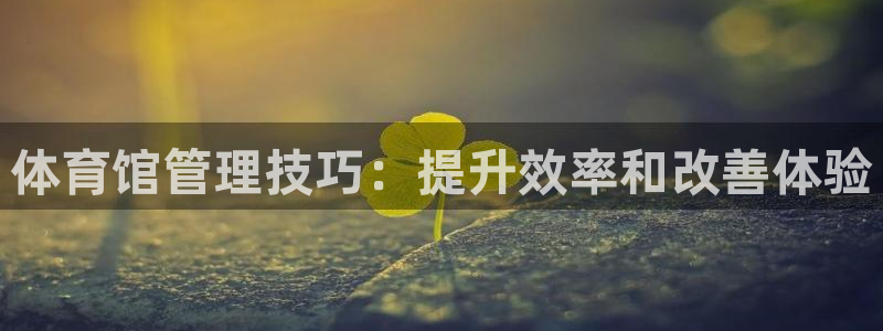 必一运动体