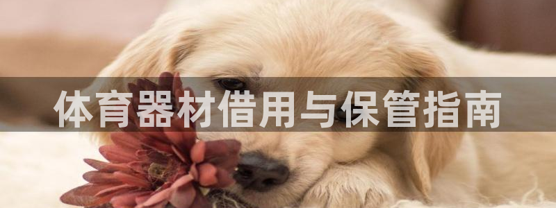 必一运动官网