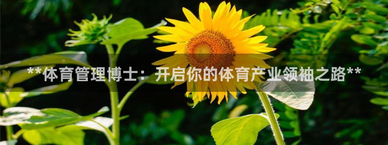 必一体育app下载：