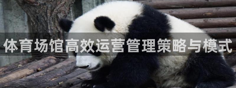 b体育必一运动网页版在线登录入口