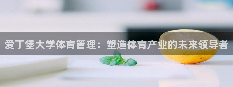必一体育app官方网