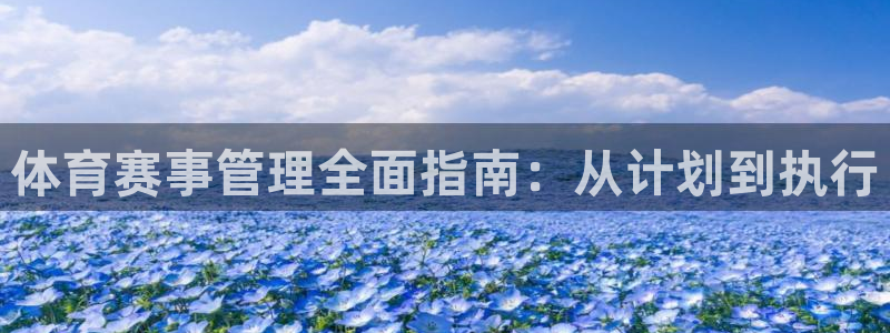 必一体育app官方网