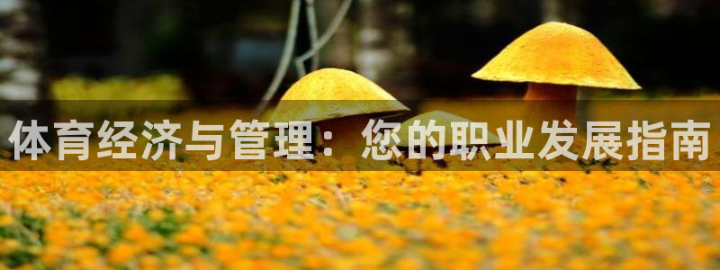 必一体育下载app