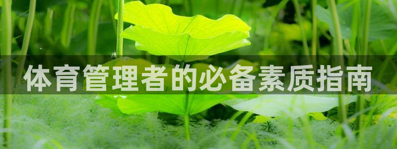 必一体育网页登陆