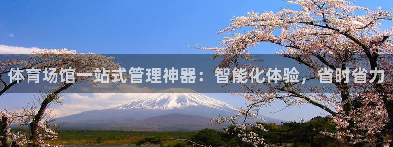 b体育官网下载入口a