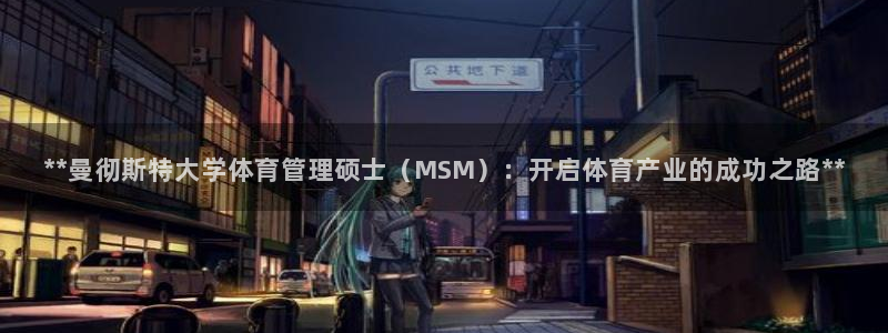 必一体育怎么下载：*