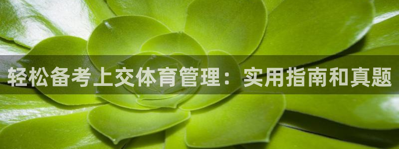 必一体育sport官网
