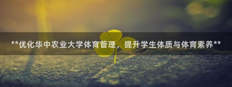 必一体育在线玩：**