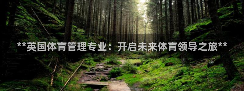 必一体育在线官网：*