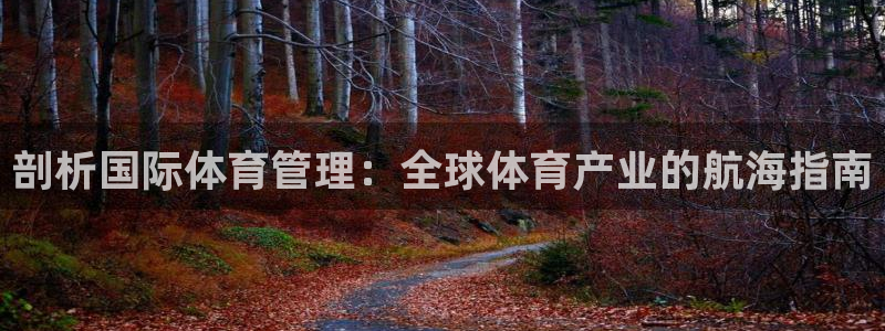 必一体育是哪里的台子