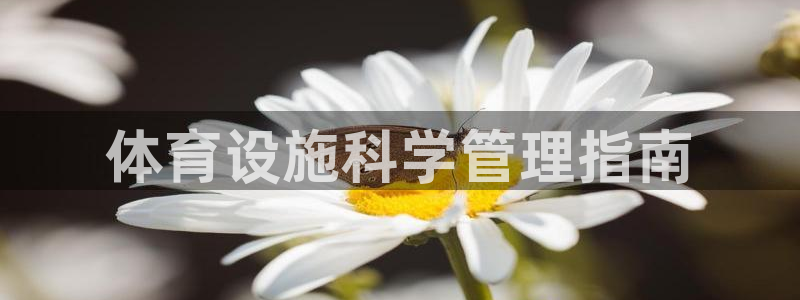 必一体育app下载：