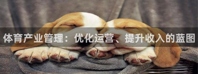 必一体育网页登录版官