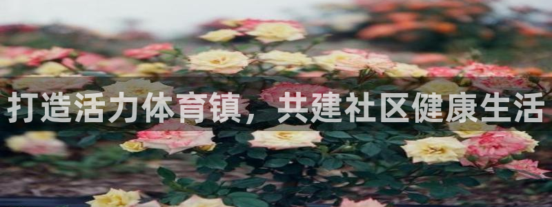 必一体育app下载最新版本苹果