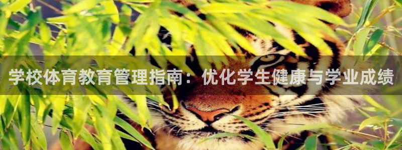 必一体育怎么下载：学