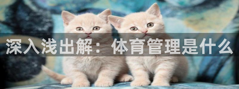 必一体育运动官网：深