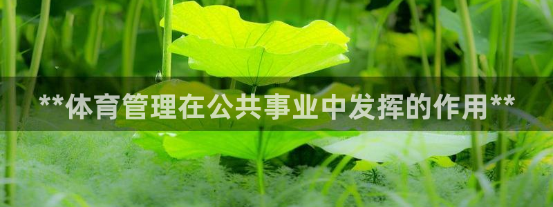 必一体育全站在线登录入口
