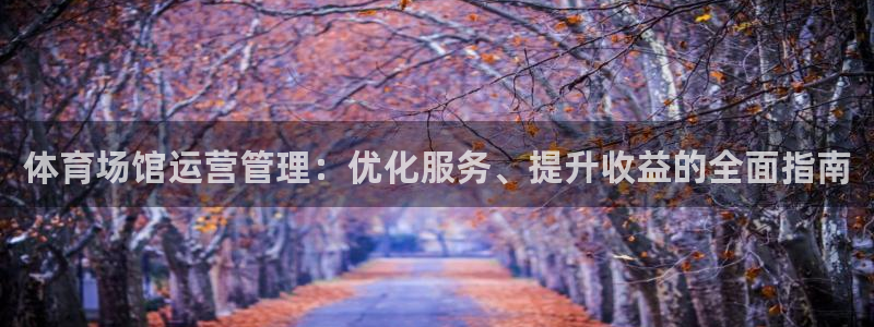 必一体育网站：体育场