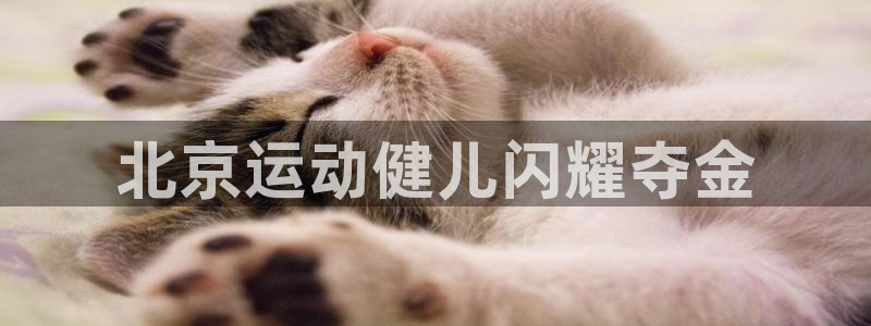 必一体育官网入口