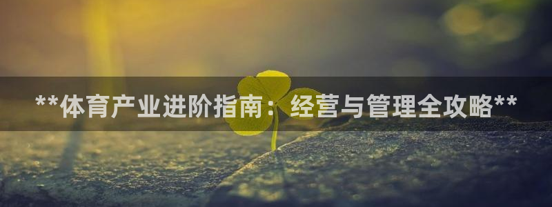 必一体育官网app
