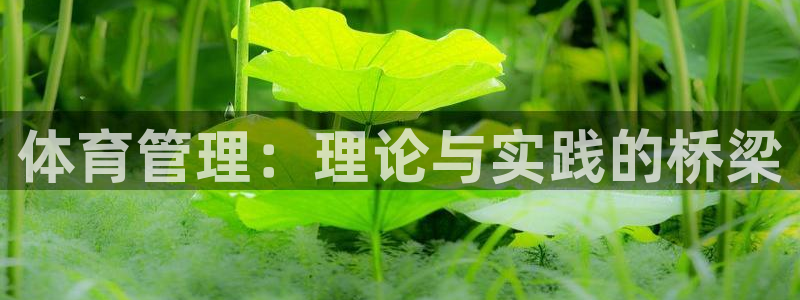 b体育必一运动网页版