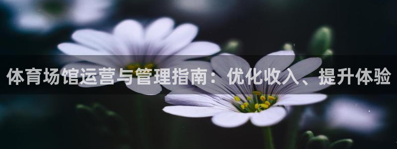 必一运动：体育场馆运