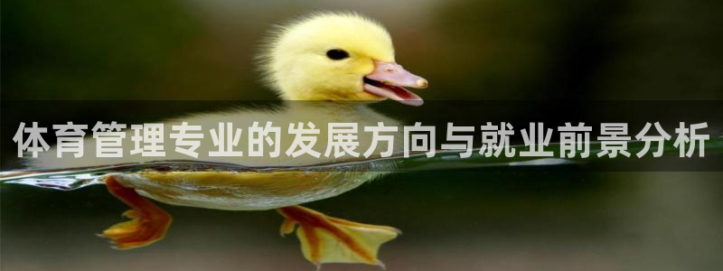 b体育官网下载入口a