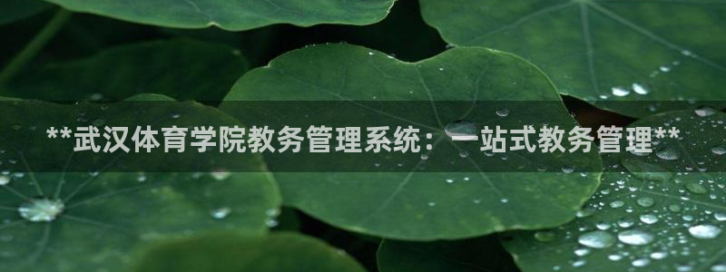 必一体育黑钱：**武