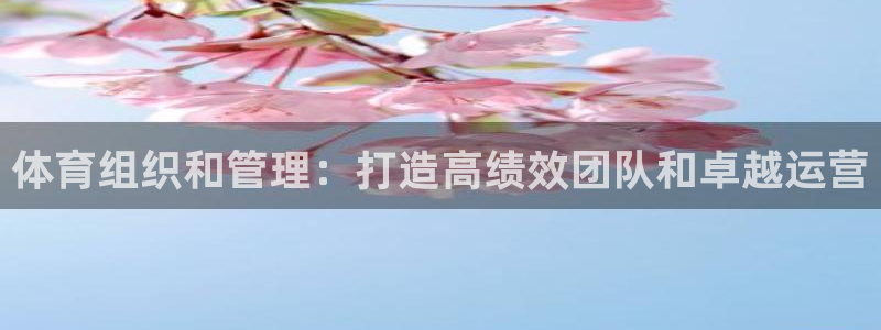 必一体育最新官网入口
