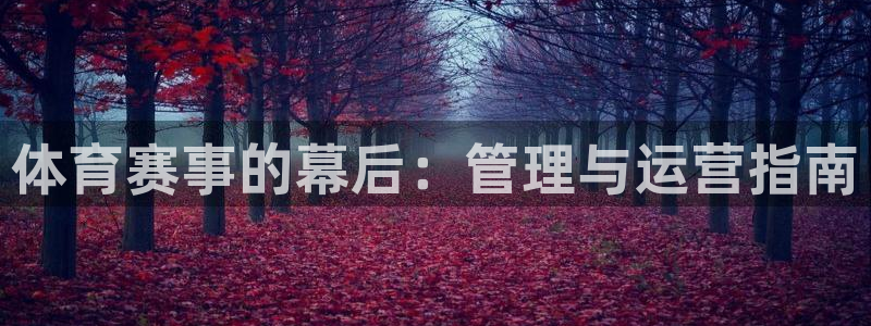 必一体育app下载：