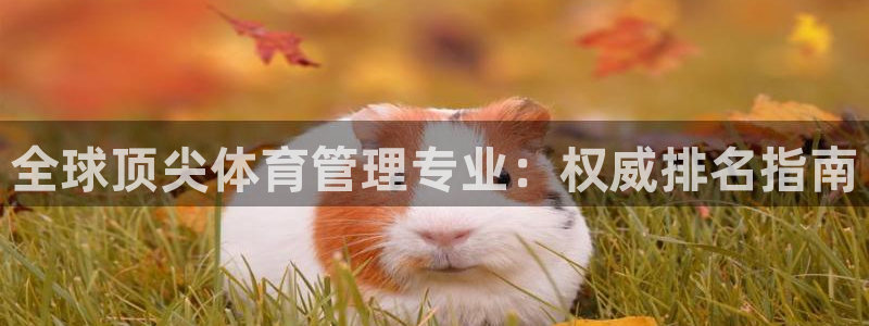 必一体育sport网页版