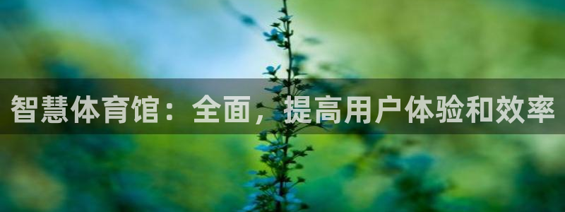 必一体育网页版登录：
