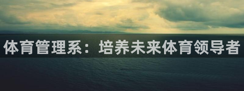必一体育没了